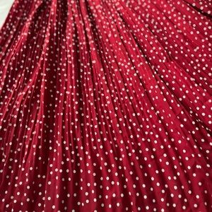 Red polka dot skirt